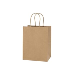 BOLSA DE PAPEL CRAFT 23X12 CM