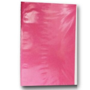 CARPETA PLASTIFICADA SIN ARCHIVADOR FUCSIA