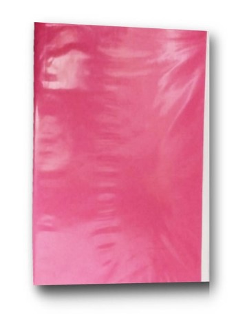 CARPETA PLASTIFICADA SIN ACOCLIP COLOR FUCSIA - Imagen 2