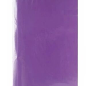 CARPETA PLASTIFICADA SIN ARCHIVADOR MORADO