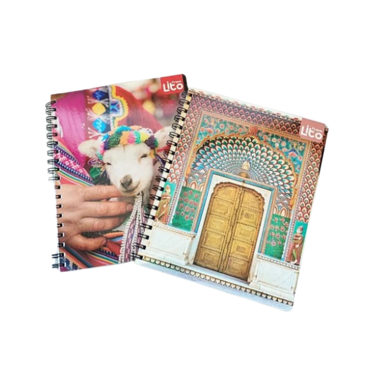 CUADERNO UNIVERSITARIO TORRE LITO 100 HJS.