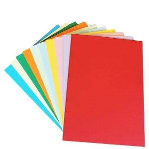 HOJAS DE COLORES